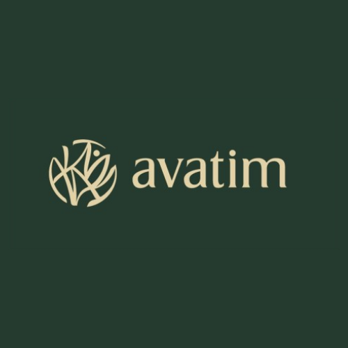 Avatim