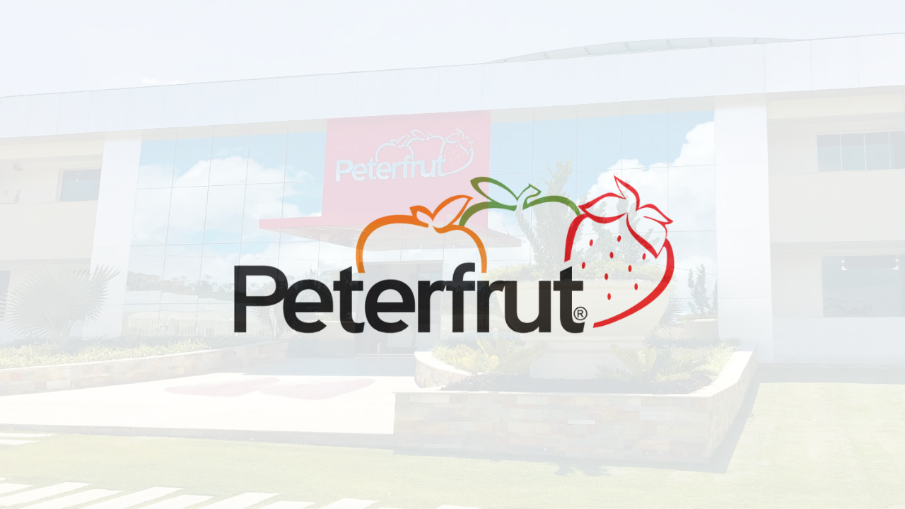 Peterfrut abre mais de 150 vagas de emprego para trabalhadores rurais e setor administrativo