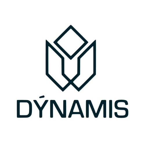Dynamis Conservação, Limpeza e Segurança