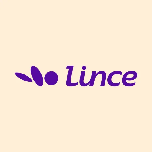 Lince Consultoria